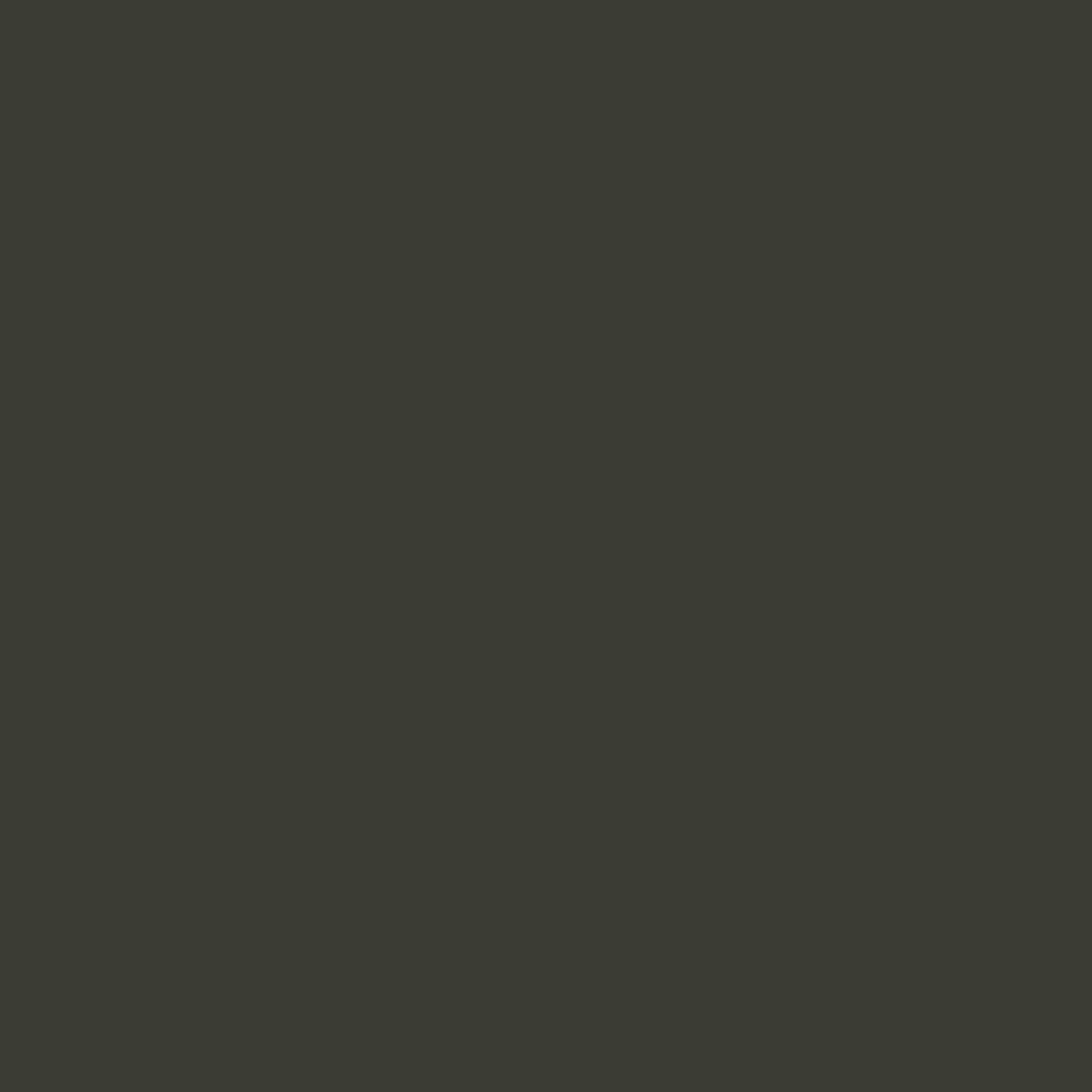 Black-olive-background-image.webp
